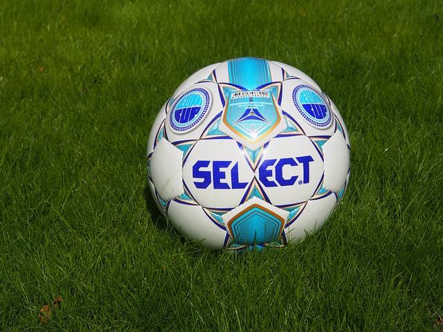 给后世的深 给后世的深