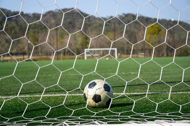 实的基础 实的基础