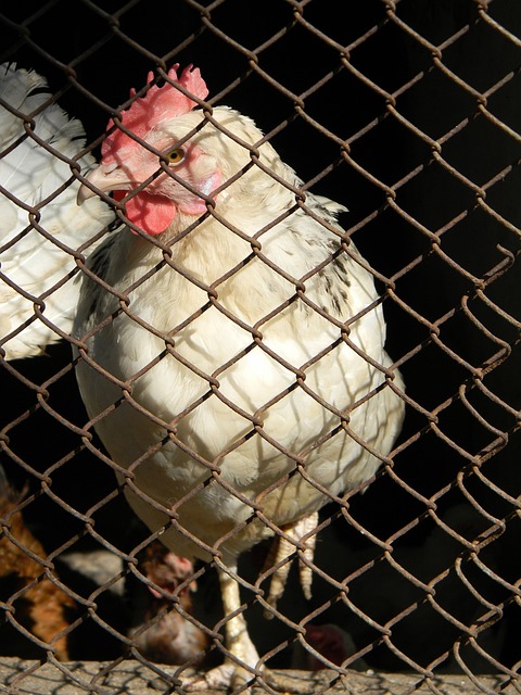 用国内生产 用国内生产