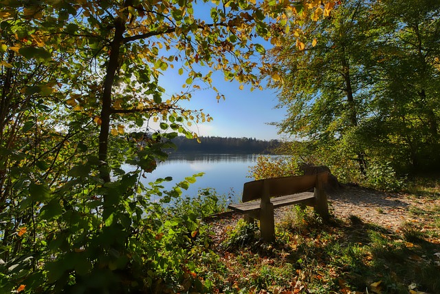 育旅游馆中 育旅游馆中